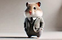 آموزش گام به گام دایرکت کلیم همستر کامبت