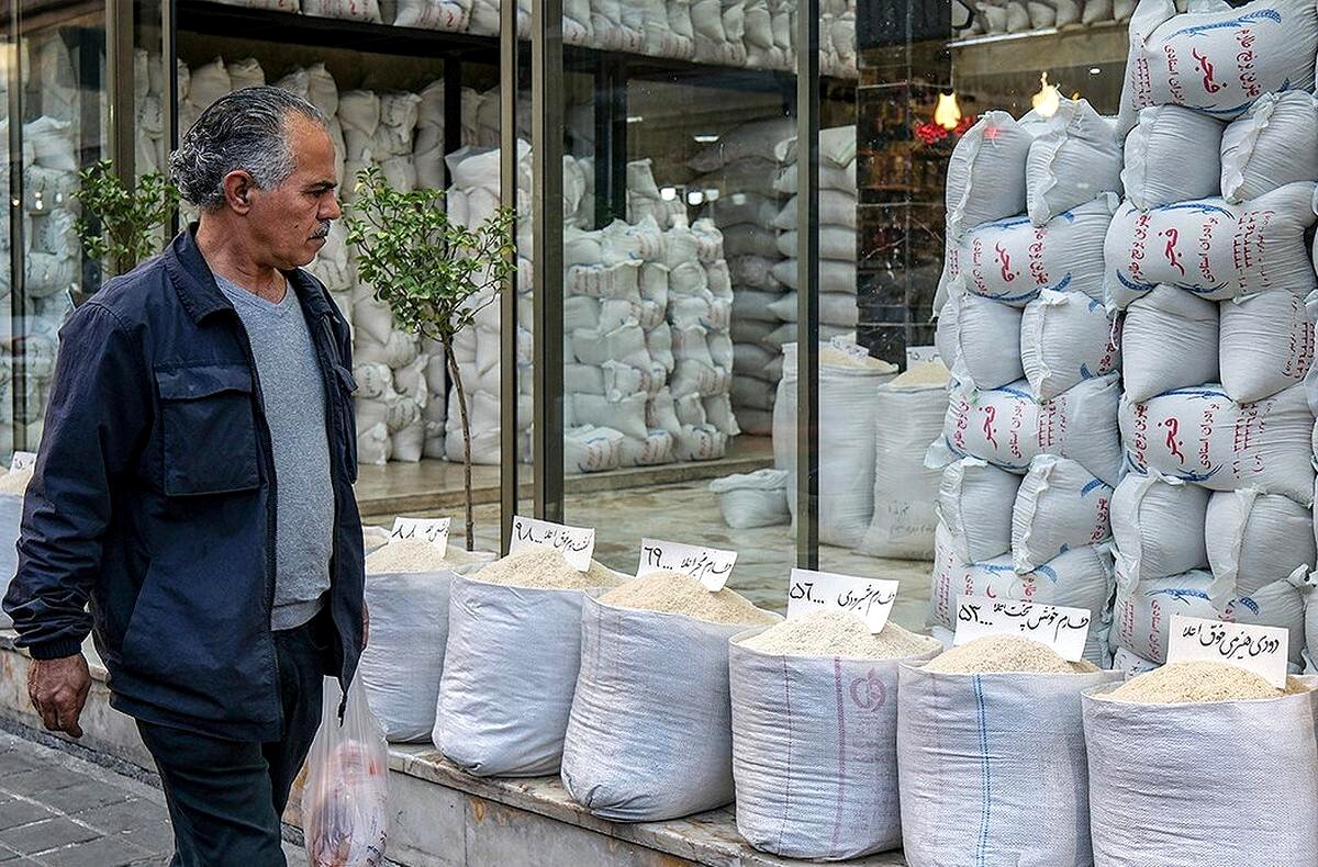 خروج برنج از یارانه؛ پایان مسیر سود دلالان؟