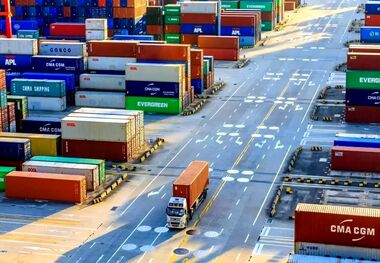 واردات گاو آمریکایی با دلار فرزین