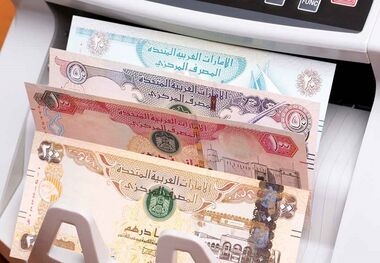 قیمت درهم امارات امروز یکشنبه 2 دی/ درهم در بازار کاهشی شد