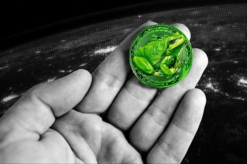 قیمت پپه؛ درخشش قورباغه شگفتانگیز