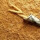 پرداخت مطالبات گندم‌کاران آغاز شد