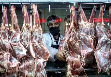 معمای گرانی گوشت