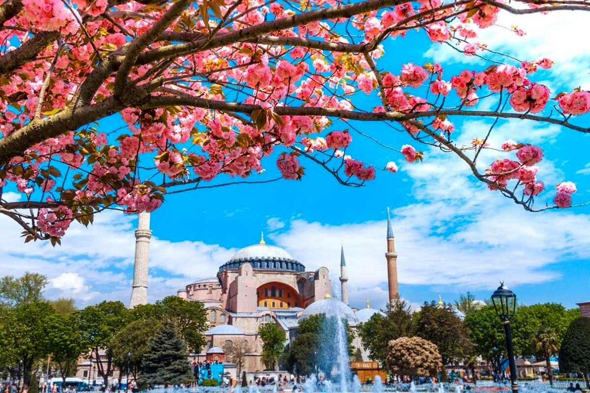 قیمت تور هوایی استانبول امروز ۱۷ مرداد/ سفر به استانبول با 25 میلیون