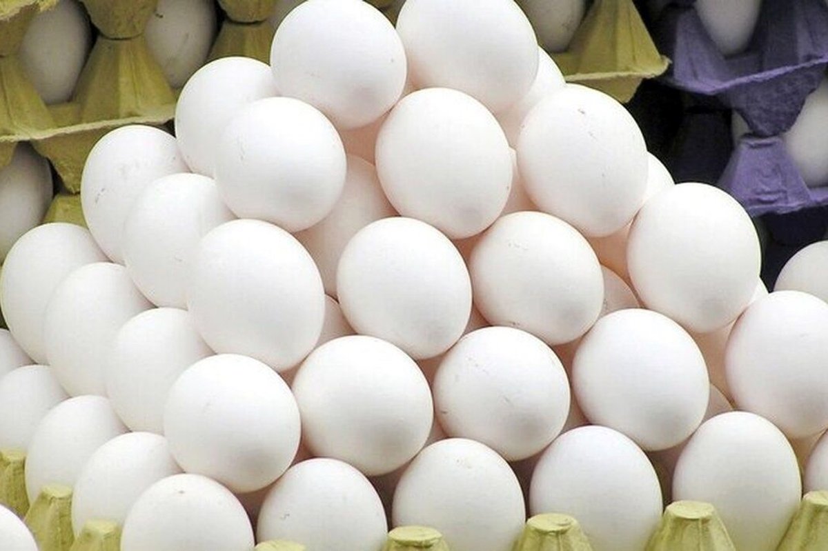 بحران قیمت تخم‌مرغ؛ از وعده حمایت تا بازاری که هنوز ملتهب است