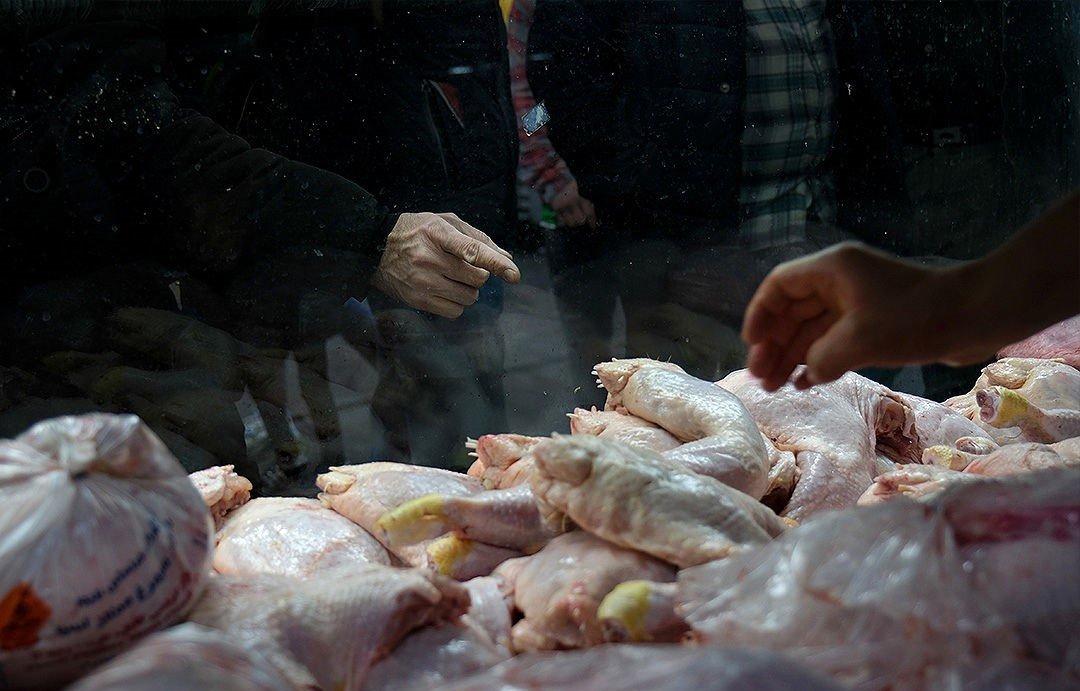 امسال خبری از التهابات بازار مرغ نیست