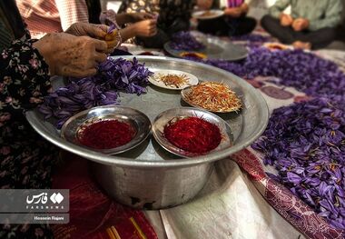  بزرگترین عرضه زعفران در بورس فردا