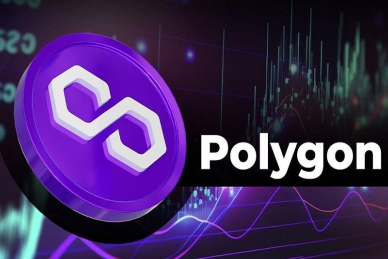 پالیگان ترمز برید؛ هجوم سرمایه‌گذاران امیدوار