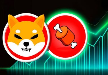 نفر اول شیبا برای اولین بار رخ نشان داد/ ارزش SHIB بالا رفت