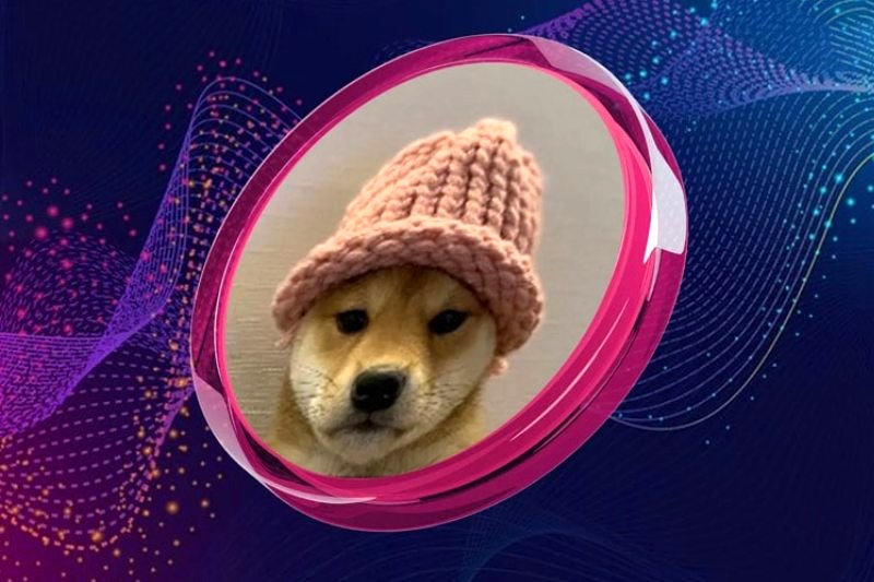 دورخیز سگ کلاهدار برای جهش بزرگ