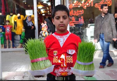 قیمت گل و سبزه عید طبق نرخ اتحادیه