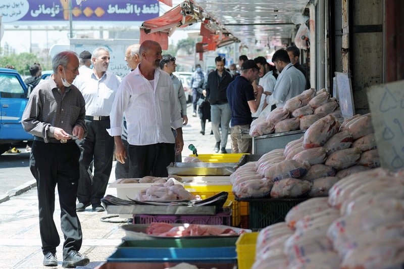 قیمت مرغ امروز؛ ران و سینه 254 هزار تومان 